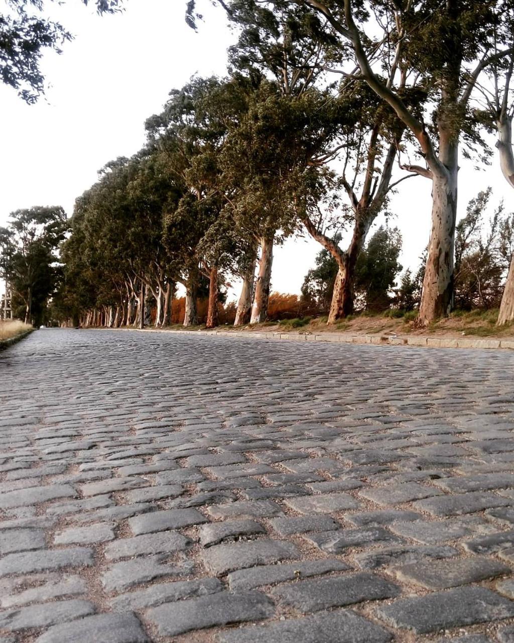 Hospedaje La Serranita Bahía Blanca Dış mekan fotoğraf